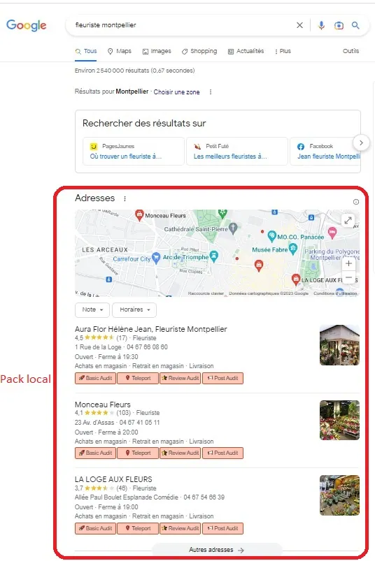 pack local fiche google my business